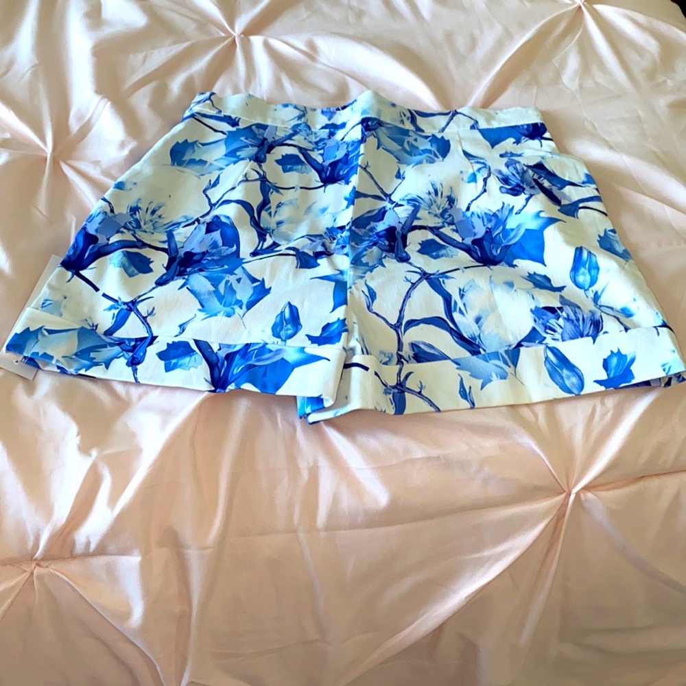 NWT, British Retro dressy shorts size 10 - Picture 2 of 5